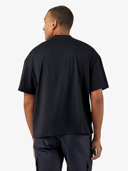 Graphic Tee Ss Mens Tee Ss