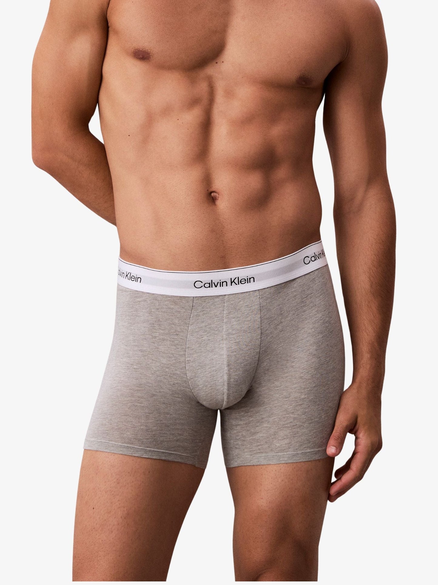 Icon Cotton Stretch Boxer Briefs (Mixed 3-Pack)